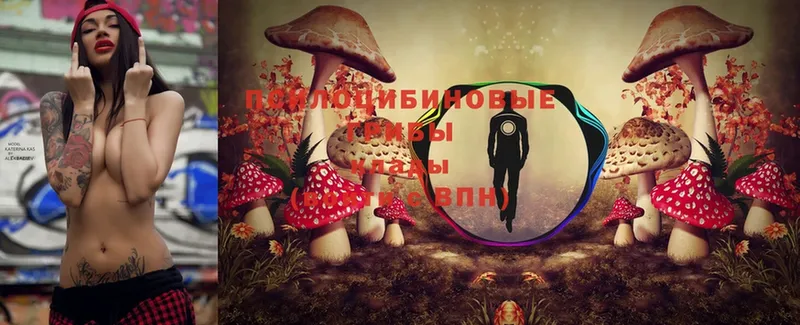 что такое   кракен как зайти  Галлюциногенные грибы MAGIC MUSHROOMS  Ишим 